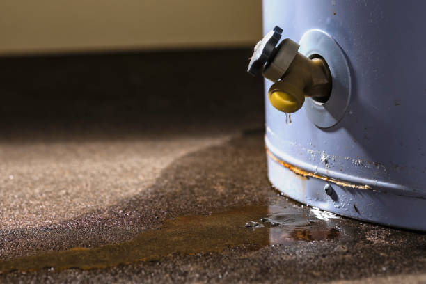 Best Mold removal after water damage  in Frackville, PA