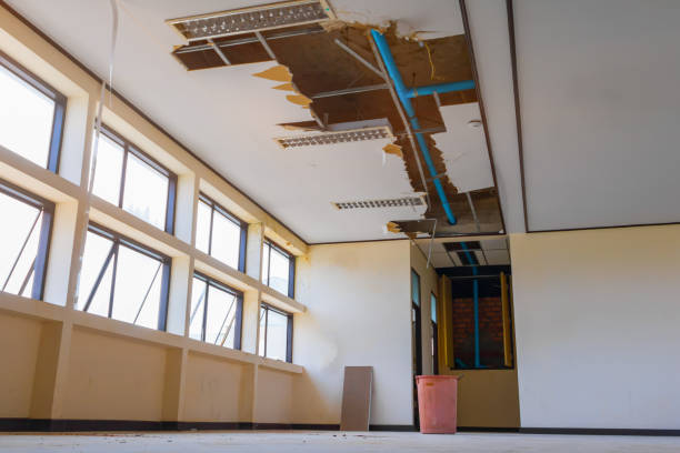 Best Basement water damage restoration  in Frackville, PA