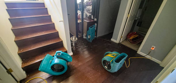 Best 24-hour water damage restoration  in Frackville, PA