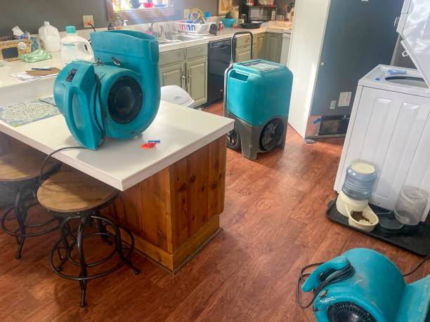 Best Water damage restoration near me  in Frackville, PA