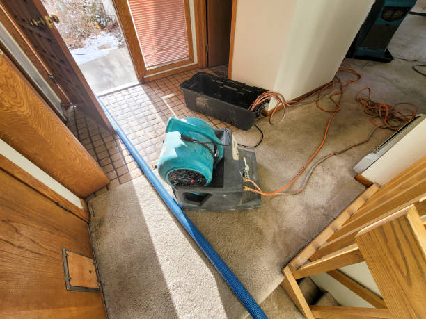 Best Sewage cleanup and water damage restoration  in Frackville, PA