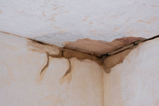 Best Water damage cleanup near me  in Frackville, PA