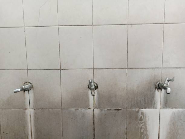 Best Water damage restoration specialists  in Frackville, PA