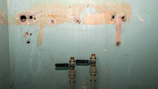 Best Water damage restoration insurance claims  in Frackville, PA