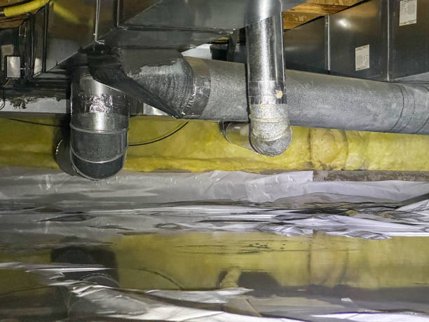 Best Flooded house restoration  in Frackville, PA