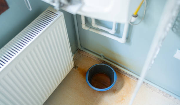 Best Carpet water damage restoration  in Frackville, PA