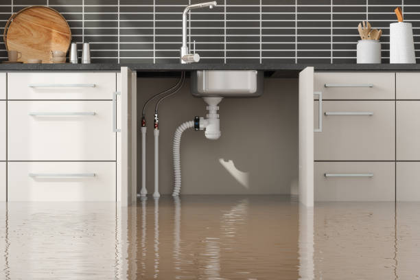 Best Carpet water damage restoration  in Frackville, PA