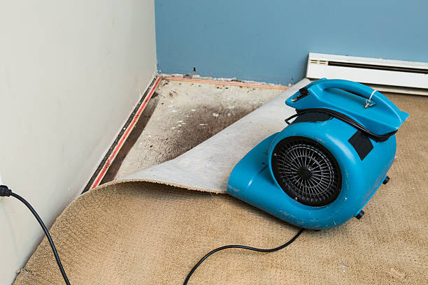 Best Emergency water damage restoration  in Frackville, PA